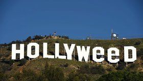 Slavný nápis Hollywood vtipálek předělal během silvestrovské noci na Hollyweed.