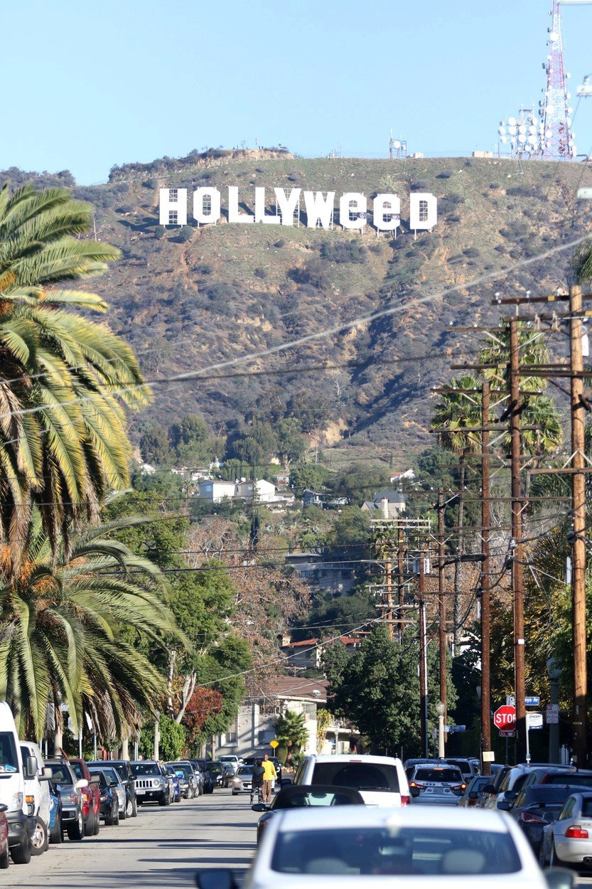 Slavný nápis Hollywood vtipálek předělal během silvestrovské noci na Hollyweed.