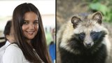 Katie Holmes: Mývalům bych nakopala zadek