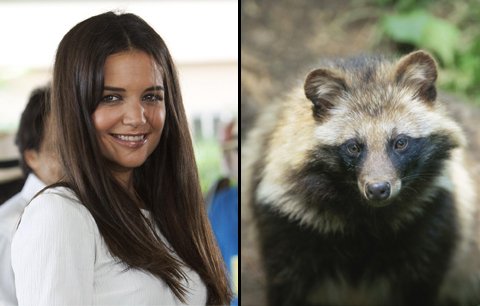 Katie Holmes: Mývalům bych nakopala zadek