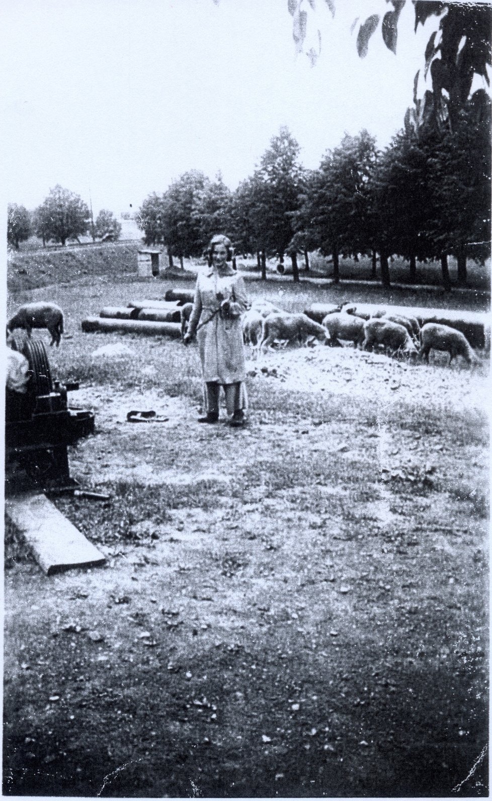 Doris Grozdanovičová v Terezíně, rok 1942.