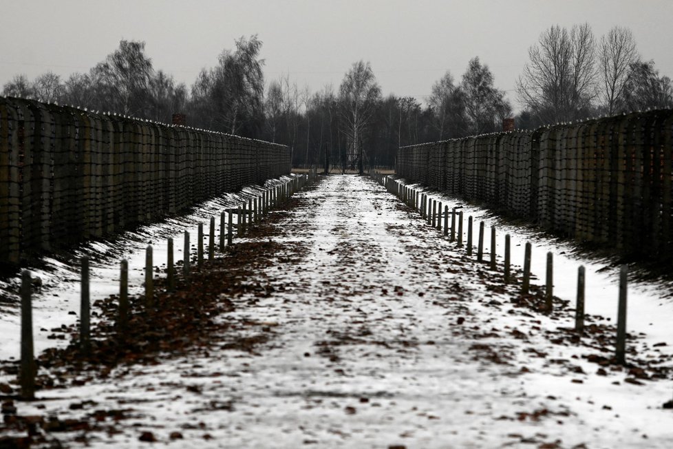 Mezinárodní den památky obětí holocaustu v Osvětimi (27.1.2022)