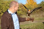 Na Praze 14 bojují proti přemnoženým holubům pomocí páru sokolů