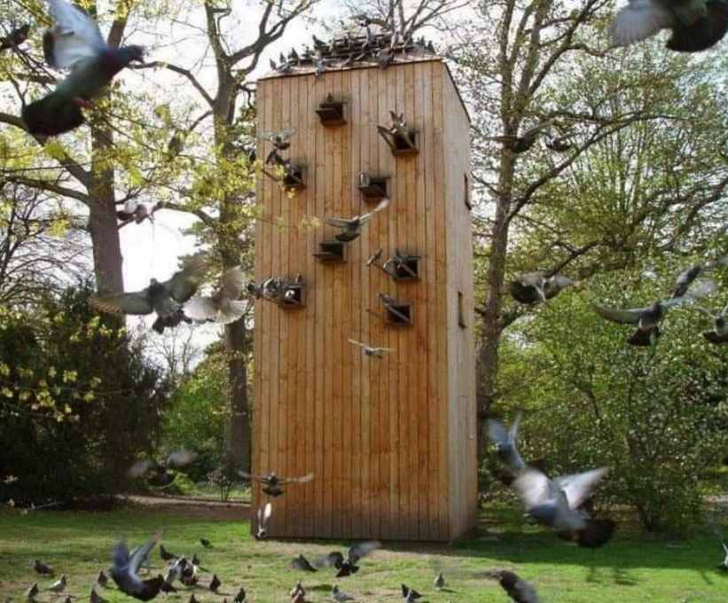 Možné podoby městkých holubníků