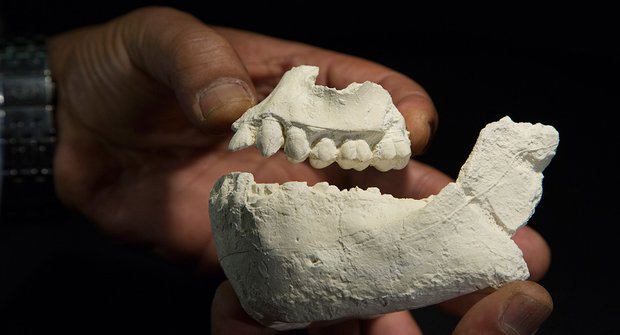 V Etiopii nalezli nejstaršího hominida!