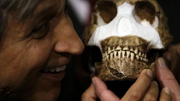 Homo naledi