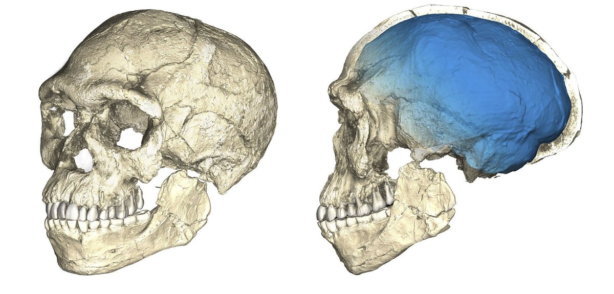 Ohromující vědecký objev z Maroka mění pohled na Homo sapiens!