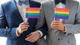 Australané podpořili svatby homosexuálů. Premiér chce změnit zákon do Vánoc