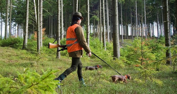 Lovil prasata, ulovil známého: Myslivec z Táborska postřelil kolegu do zad (ilustrační foto)