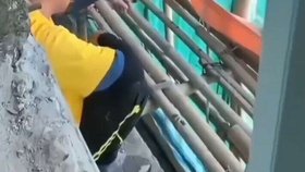 Zatím se jako jediná zjevná příčina jeví jedním z dělníků odhozená cigareta.