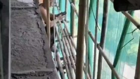 Zatím se jako jediná zjevná příčina jeví jedním z dělníků odhozená cigareta.