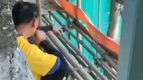 Zatím se jako jediná zjevná příčina jeví jedním z dělníků odhozená cigareta.