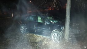 Grázl za volantem audi naboural do stromu, vyběhl z auta okamžitě ven a začal před policisty utíkat.