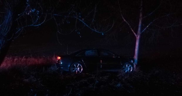 Grázl za volantem audi naboural do stromu, vyběhl z auta okamžitě ven a začal před policisty utíkat.