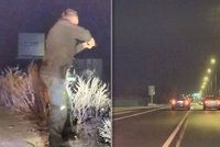 Zběsilou jízdu volkswagenu nezastavila ani policejní střelba: Řidič na letiště nedojel