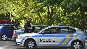 V opilosti ubil v Zábřehu o dvacet let staršího muže: Policisté vraha zadrželi (ilustrační foto)
