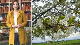 Počasí s Honsovou: O víkendu čekejte jarních 17 °C a kýchání alergiků