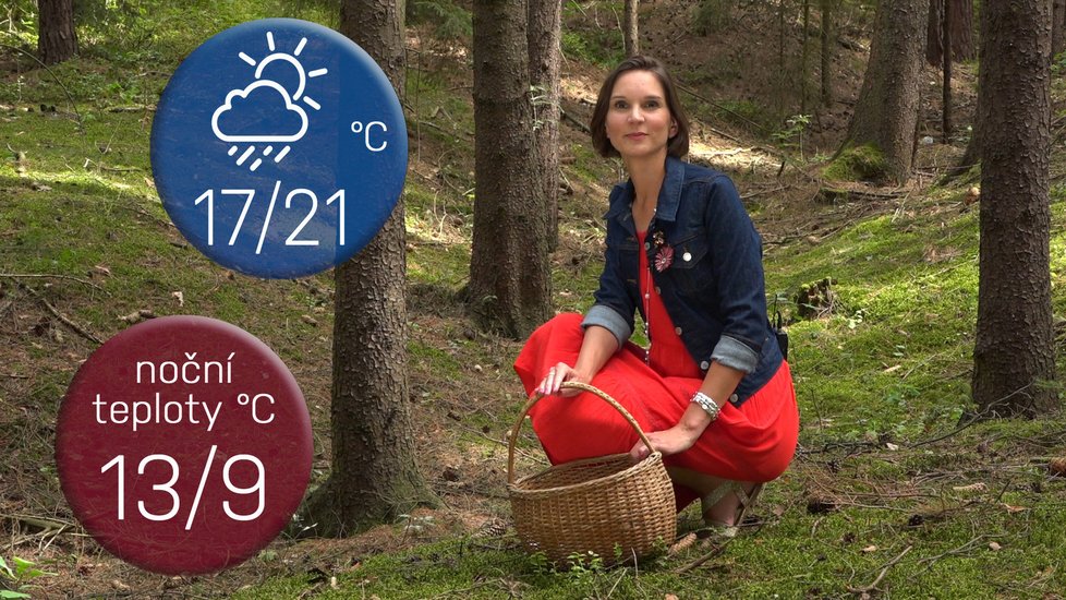 Meteoroložka Dagmar Honsová a její předpověď