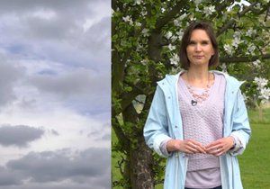 Meteoroložka Dagmar Honsová a její předpověď