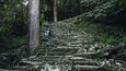 K svatyni Kamikura-džindža a skále Gotobiki-iwa vedou téměř tři stovky vysokých kamenných schodů