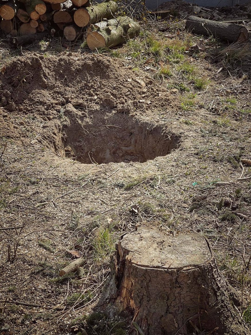 Honza Musil s manželem Jakubem přestavují dům a osazují zahradu