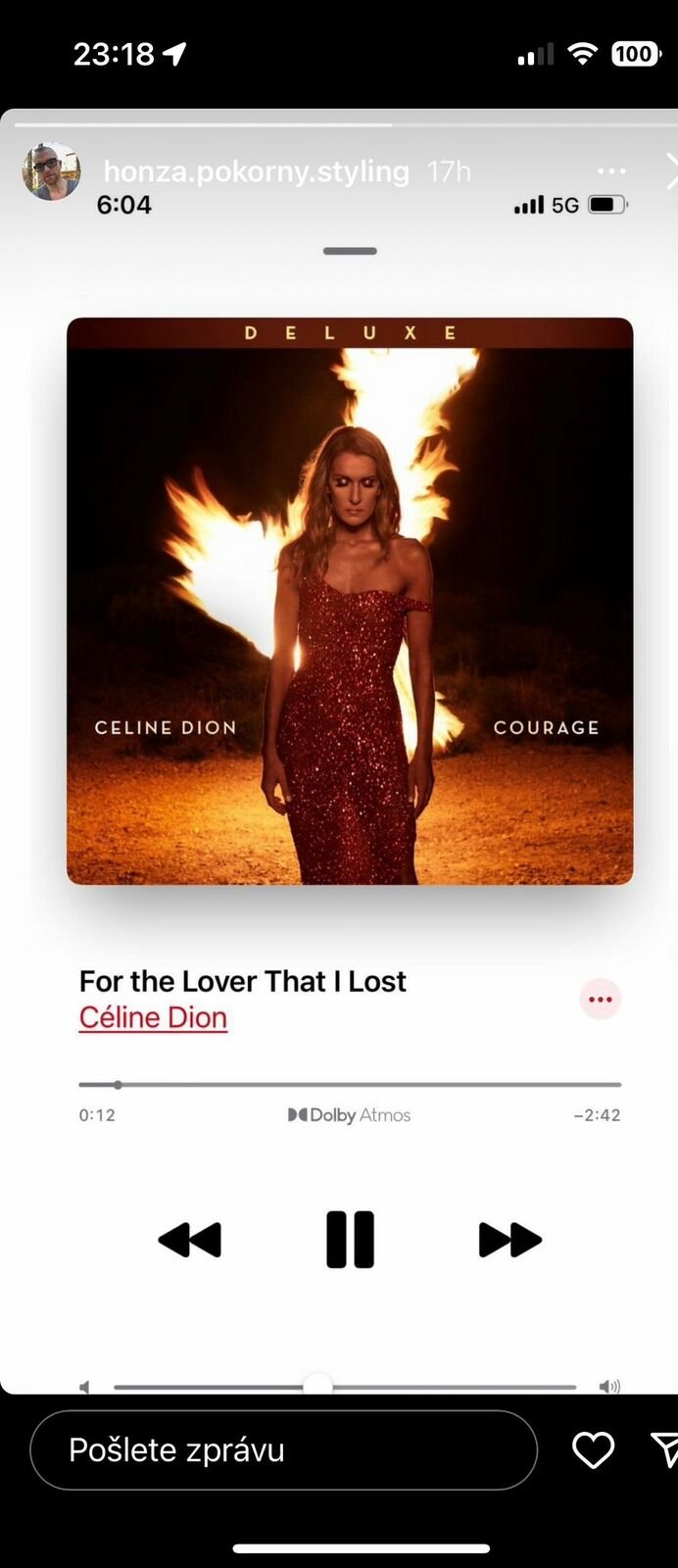 Jan Pokorný dal na sociální síť mrazivý vzkaz v podobě smutné písně od Céline Dion.