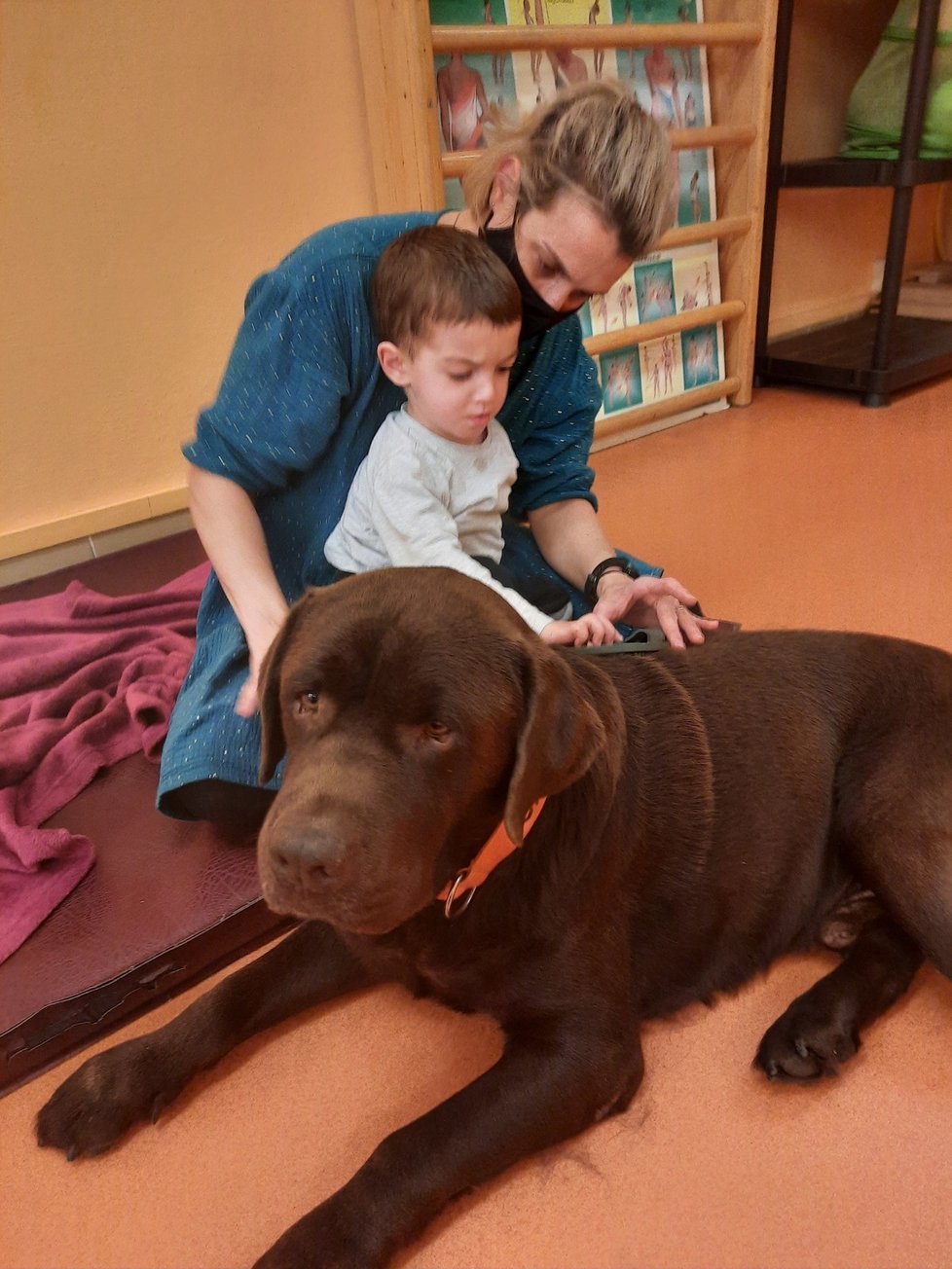 Jednou z využitých léčebných metod je také kanisterapie. Při níž se využívají speciálně vycvičení psi.