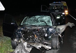 Vážná autonehoda na Třebíčsku: Čtyři děti se zranily po nárazu do stromu (ilustrační foto)