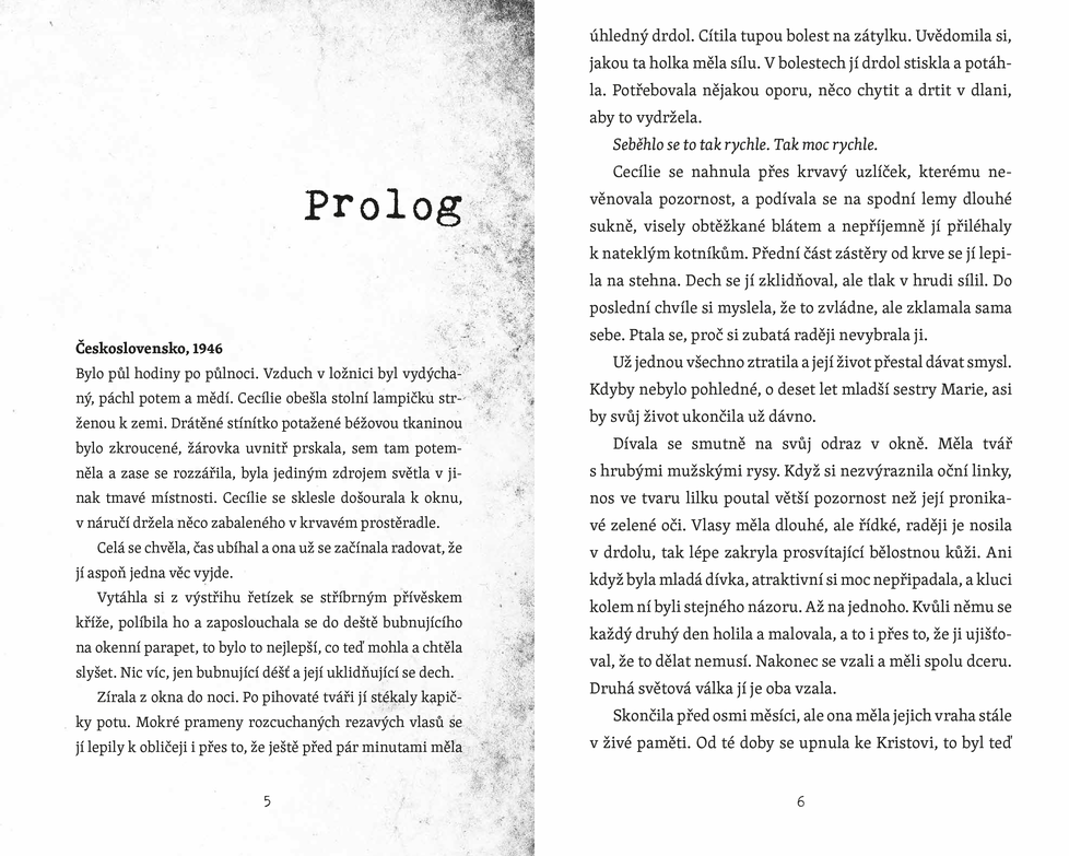 Hořká múza: Mrazivý horor o zrůdné vášni a slepé posedlosti. Franz je spisovatel a netouží po ničem jiném, než aby mohl nerušeně psát. Osud se mu však podivnými způsoby staví do cesty…