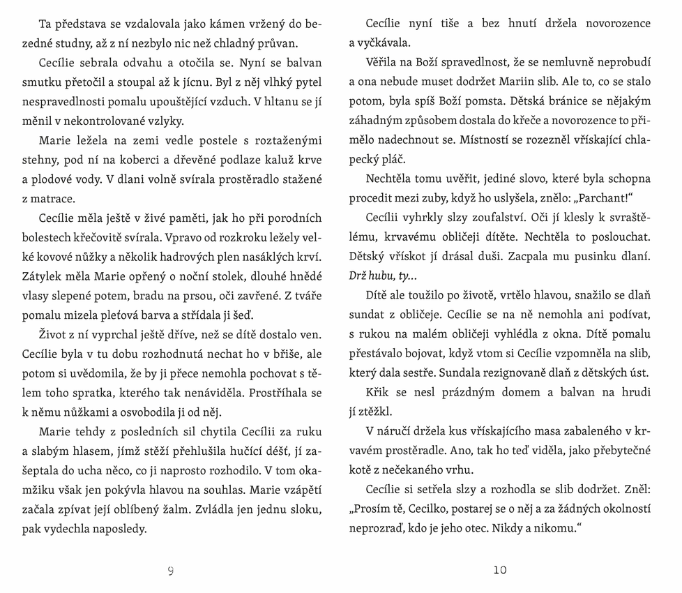 Hořká múza: Mrazivý horor o zrůdné vášni a slepé posedlosti. Franz je spisovatel a netouží po ničem jiném, než aby mohl nerušeně psát. Osud se mu však podivnými způsoby staví do cesty…