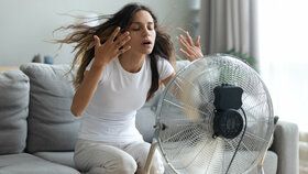 Na nesnesitelně vysoké teploty uvnitř domovů si během léta stěžuje 61 % Čechů. I ve větraných místnostech během léta často stojí vzduch a teplota neklesne pod 25 °C. Jak doma vyzrát na úmorné vedro?