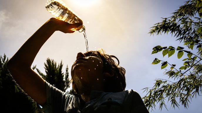 Jak se chovat v extrémních vedrech? Jak se chovat v extrémních vedrech?