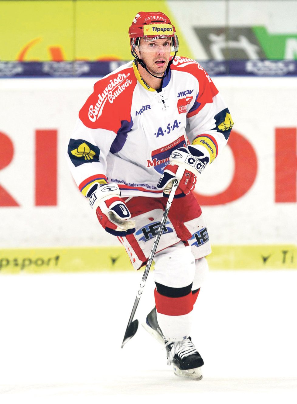 Tomáš Horna je úspěšný hokejista. Skóroval nejen na ledě, ale prý i v náručí Blanarovičové.