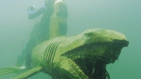 Dřevěná replika žraločího predátora je vyrobena motorovou pilou z jednoho kusu kmene. Celkem na něj padlo 0,7 metru krychlového dřeva. Je upevněn na řetězech a vznáší se v hloubce 4 až 5 metrů.