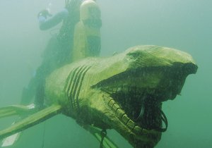 Dřevěná replika žraločího predátora je vyrobena motorovou pilou z jednoho kusu kmene. Celkem na něj padlo 0,7 metru krychlového dřeva. Je upevněn na řetězech a vznáší se v hloubce 4 až 5 metrů.
