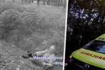 Houbařka (85) u Horního Jelení spadla do příkopu: Pomoci jí museli strážníci.