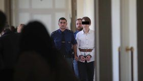 Mladík dostal za pokus o vraždu dívky v Horních Měcholupech čtyři roky vězení. V době činu mu ještě nebylo 18.