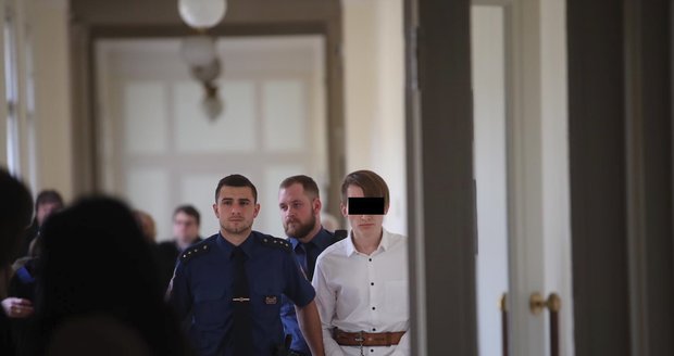 Mladík si za pokus o vraždu dívky v Horních Měcholupech odpyká čtyři roky vězení.
