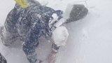 Horolezec natočil smrtící lavinu na Everestu: Je to mlýnek na maso, jsou bez šance, říká Jaroš