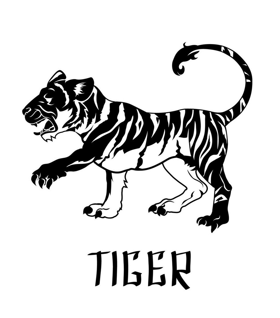 tygr