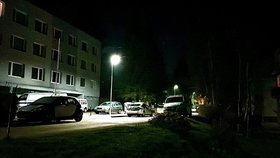Trojnásobná vražda v Hořovicích: Oběťmi jsou žena a dvě malé děti!