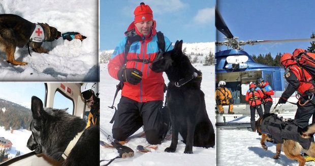 Život na českých horách zachraňuje 13 psů. Víme, proč mezi nimi chybí bernardýn