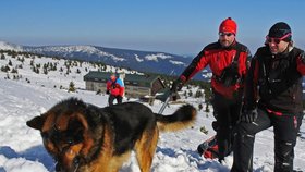 Psi horské služby musí splňovat mnoho předpokladů. Foto z lavinového cvičení záchranářů