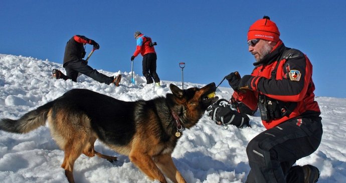 Psi horské služby musí splňovat mnoho předpokladů. Foto z lavinového cvičení záchranářů