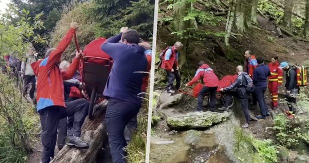 Muž utrpěl na Bruntálsku akutní alergickou reakci po bodnutí hmyzem: Záchranáři a dobrovolníci ho tři čtvrtě hodiny vlekli těžkým terénem