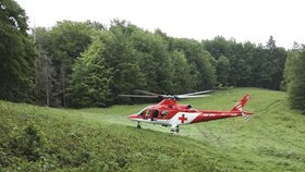 Na východním Slovensku dnes po kolapsu během túry zemřel český turista. Muže se nepodařilo oživit ani přivolaným záchranářům, informovala slovenská Horská záchranná služba.