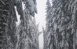 Nebezpečná krása. Šumavské stromy jsou obalené těžkým sněhem.