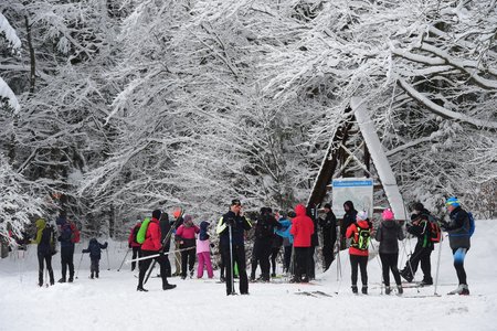 Turisté a lyžaři na běžkách 30. ledna 2021 v sedle Skřítek na Rýmařovsku v Jeseníkách, které je výchozím místem řady turistických a běžkařských tras