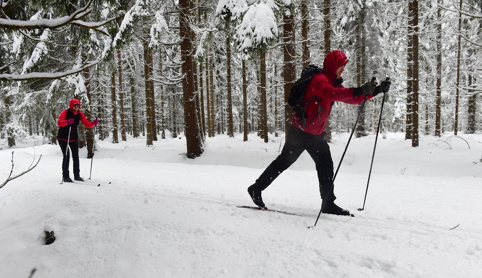 Na hory vyrazili především běžkaři. (30.1.2021)