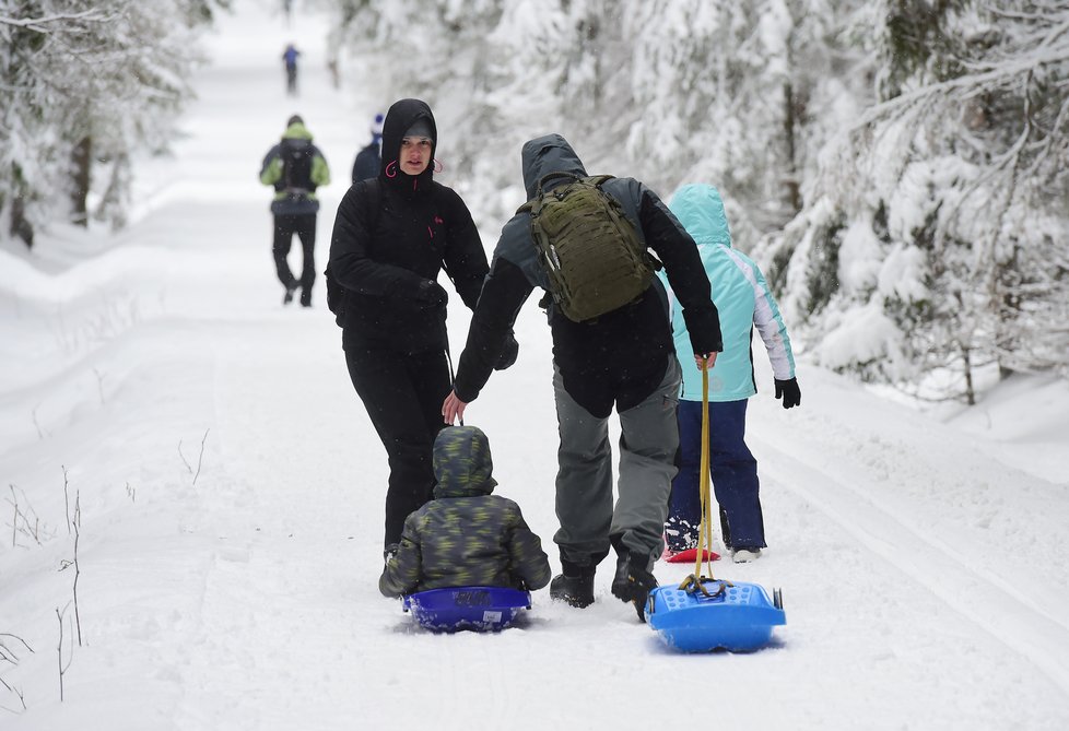 Pěší turisté vyrazili 30. ledna 2021 ze sedla Skřítek na Rýmařovsku v Jeseníkách.